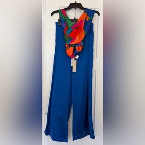 Rachel Zoe Cobalt Blue Garment